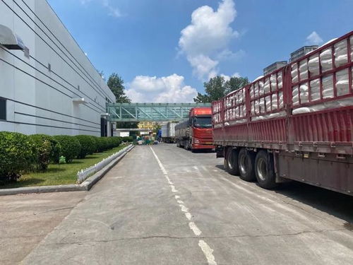 直擊河南汛情 鄭州放晴，兩大食品巨頭恢復生產，廠區門口運輸車輛排起長龍
